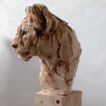 Jurgen Lingl, Sitting Leopard