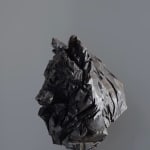 Jürgen Lingl, Stormy Wolf, buste de loup