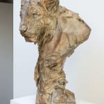 Jürgen Lingl, Stormy Wolf, buste de loup