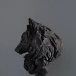 Jürgen Lingl, Stormy Wolf, buste de loup