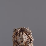 Jurgen Lingl, Sitting Leopard