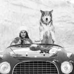 David Yarrow, The Pack