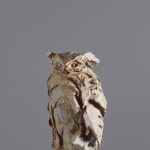 Jürgen Lingl, Stormy Wolf, buste de loup