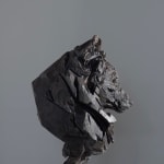 Jurgen Lingl, Sitting Leopard