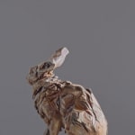 Jurgen Lingl, Sitting Leopard
