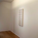 Jesús Rafael Soto, Tes Noir et rouge, 1974