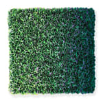 Zhuang Hong Yi, Request full overview of available works by Zhuang Hong Yi