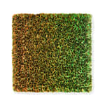 Zhuang Hong Yi, Request full overview of available works by Zhuang Hong Yi