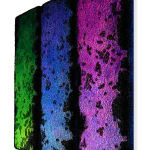Zhuang Hong Yi, Vibrant Kaleidoscope , 2024