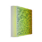 Zhuang Hong Yi, Request full overview of available works by Zhuang Hong Yi