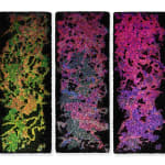 Zhuang Hong Yi, Vibrant Kaleidoscope , 2024