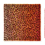 Zhuang Hong Yi, Vibrant Kaleidoscope , 2024