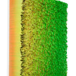 Zhuang Hong Yi, Request full overview of available works by Zhuang Hong Yi