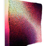 Diana Korn, Love it or leave it, 2025