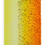 Zhuang Hong Yi, Vibrant Kaleidoscope , 2024
