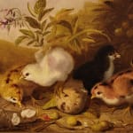 Thumbnail of additional image