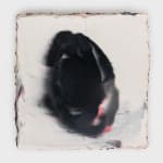 Hermann Nitsch, 12. Aktion, 1965