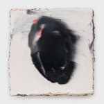 Hermann Nitsch, 12. Aktion, 1965