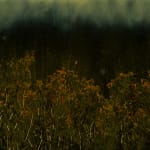 Mayme Kratz, Night Study 29, 2023