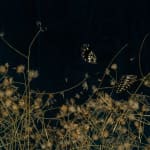 Mayme Kratz, Night Study 29, 2023