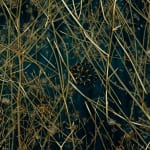 Mayme Kratz, Night Study 29, 2023