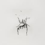 Ilana Savdie, Ecdysis, 2024
