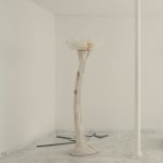 Irene Cattaneo, animaux sauvages et volupteux / Wild and voluptuous animals, 2025