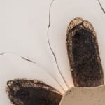 Irene Cattaneo, animaux sauvages et volupteux / Wild and voluptuous animals, 2025