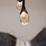 Irene Cattaneo, animaux sauvages et volupteux / Wild and voluptuous animals, 2025