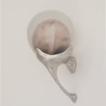 Irene Cattaneo, animaux sauvages et volupteux / Wild and voluptuous animals, 2025