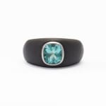 Villa Milano, Titanium ring