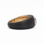 Villa Milano, Titanium ring