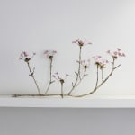Christopher Thompson Royds, Buttercup Drop Earrings (long), 2016