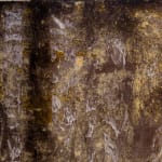 Theodore Ereira-Guyer, Endless night (south), 2023–25