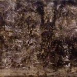 Theodore Ereira-Guyer, Endless night (south), 2023–25