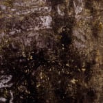 Theodore Ereira-Guyer, Endless night (south), 2023–25