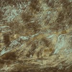 Theodore Ereira-Guyer, Untitled, 2024