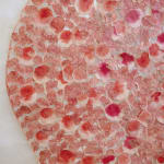 Fumi Imamura, One Flower (Red Flower), 2024