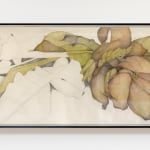 Sarah Graham, Musa acuminata (paper) I, 2025