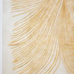Fumi Imamura, One flower (花ひとつ), 2024