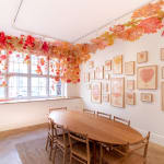 Fumi Imamura, One Flower (Sweet Rocket), 2024