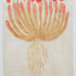 Fumi Imamura, One Flower (Sweet Rocket), 2024