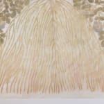 Fumi Imamura, One flower (花ひとつ), 2024