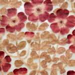 Fumi Imamura, One flower (花ひとつ), 2024