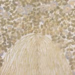 Fumi Imamura, One flower (花ひとつ), 2024