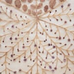 Fumi Imamura, One flower (花ひとつ), 2024