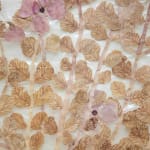 Fumi Imamura, One flower (花ひとつ), 2024