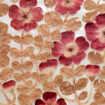 Fumi Imamura, One flower (花ひとつ), 2024