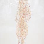 Fumi Imamura, One flower (花ひとつ), 2024