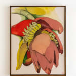Sarah Graham, Musa acuminata (canvas) III, 2025